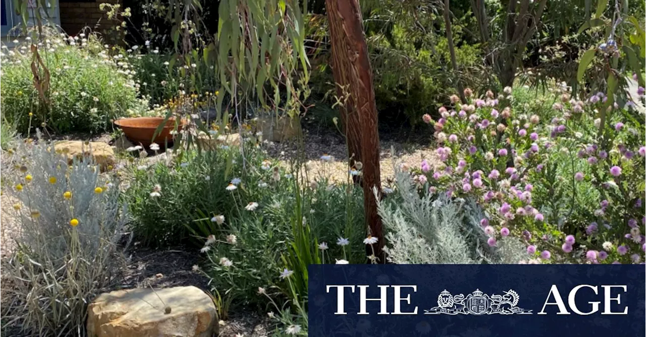 How to create a native garden that birds and people will love