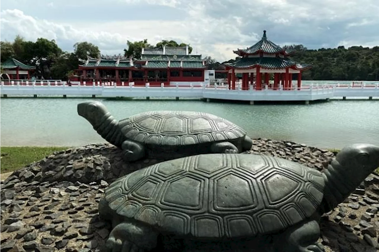 Kusu Island's October visitors advised to go on weekdays