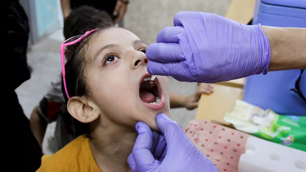 UN plans to add nutrients to second round of Gaza polio vaccinations