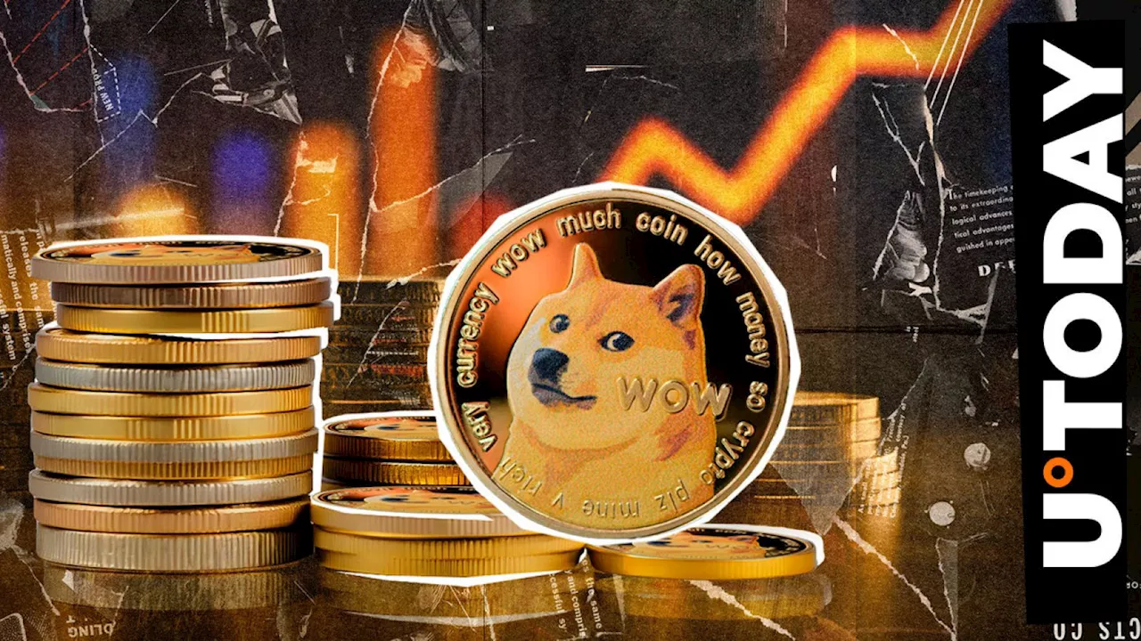 Dogecoin surges as major holders accumulate ahead of potential breakout