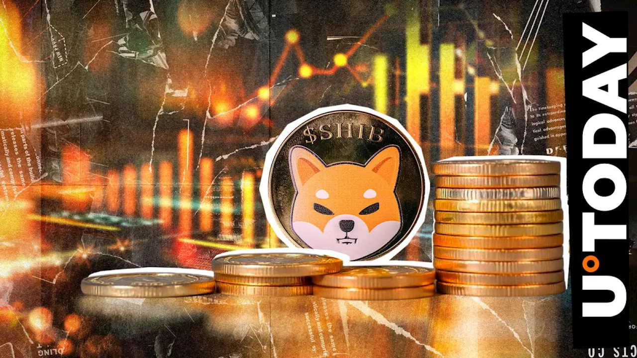 Shiba Inu (SHIB) Biggest Beneficiary of Rate Cut, Here's Why