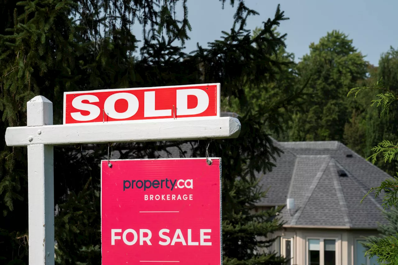 Canada real estate: Royal LePage says foreign buyers ban has 'had virtually no impact'