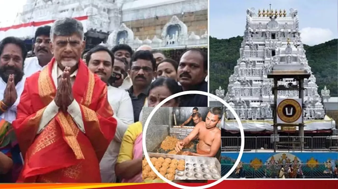 ತಿರುಪತಿ ದೇವಸ್ಥಾನದ ಲಡ್ಡು ಪ್ರಸಾದದಲ್ಲಿ ತುಪ್ಪದ ಬದಲು ಪ್ರಾಣಿಗಳ ಕೊಬ್ಬು ಬಳಕೆ : ಕೇಳಿ ಬಂತು ಬಹು ದೊಡ್ಡ ಆರೋಪ