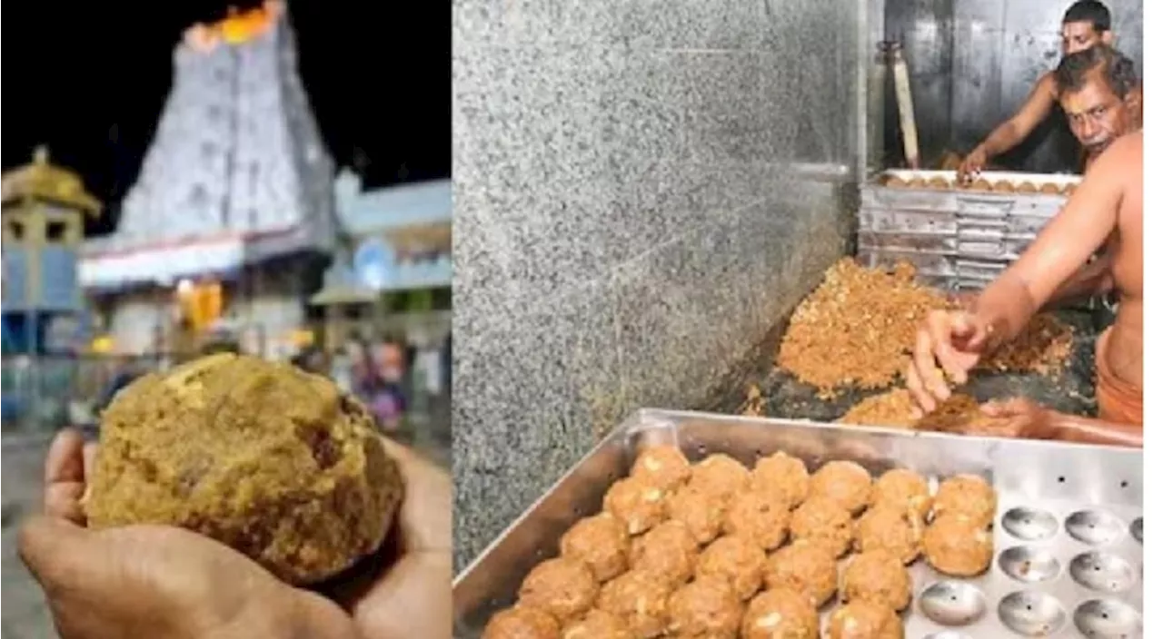 Tirumala Laddu Dispute: తిరుమల లడ్డూ వివాదమేంటి, నిజంగానే కొవ్వు ఉపయోగిస్తున్నారా