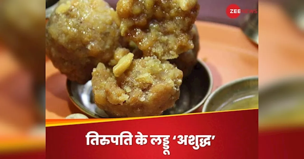 Tirupati Laddoos: तिरुमला तिरुपति मंदिर के लड्डू में था बीफ फैट-फिश ऑयल, नेशनल डेयरी डेवलपमेंट बोर्ड के टेस्ट में कंफर्म