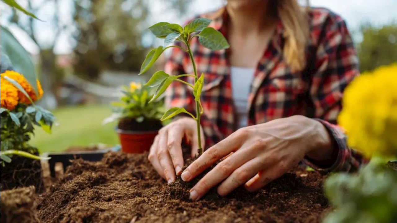 WA Department of Health warns gardeners about Legionnaires’ disease risk as spring begins