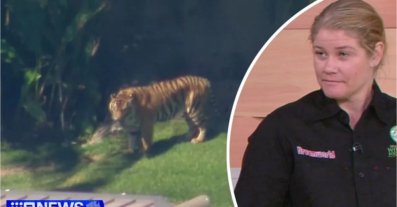 Handler bitten by tiger at Dreamworld identified