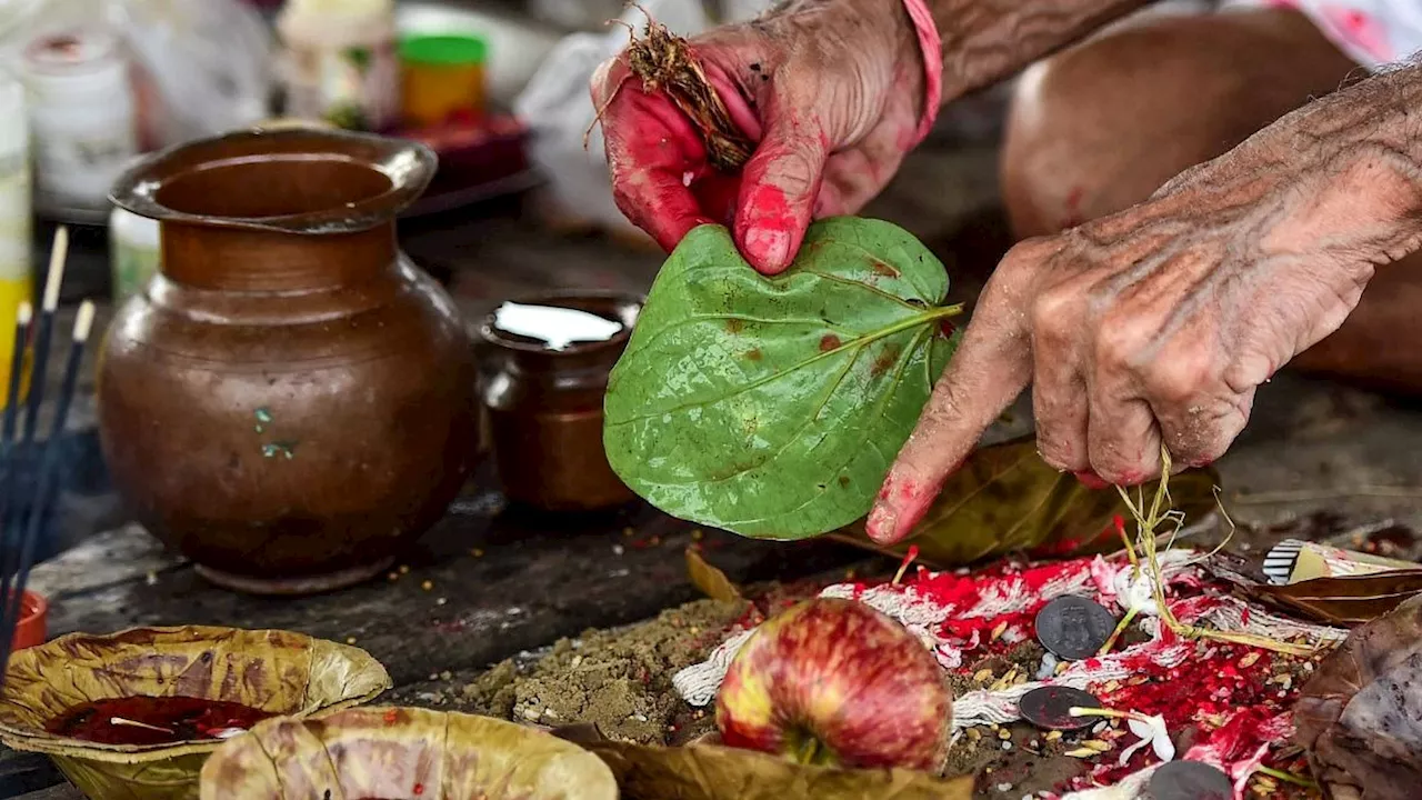 Pitru Paksha 2024 Date: पितृपक्ष कब से हो रहा शुरू? नोट कर लें श्राद्ध की ये 16 तिथियां