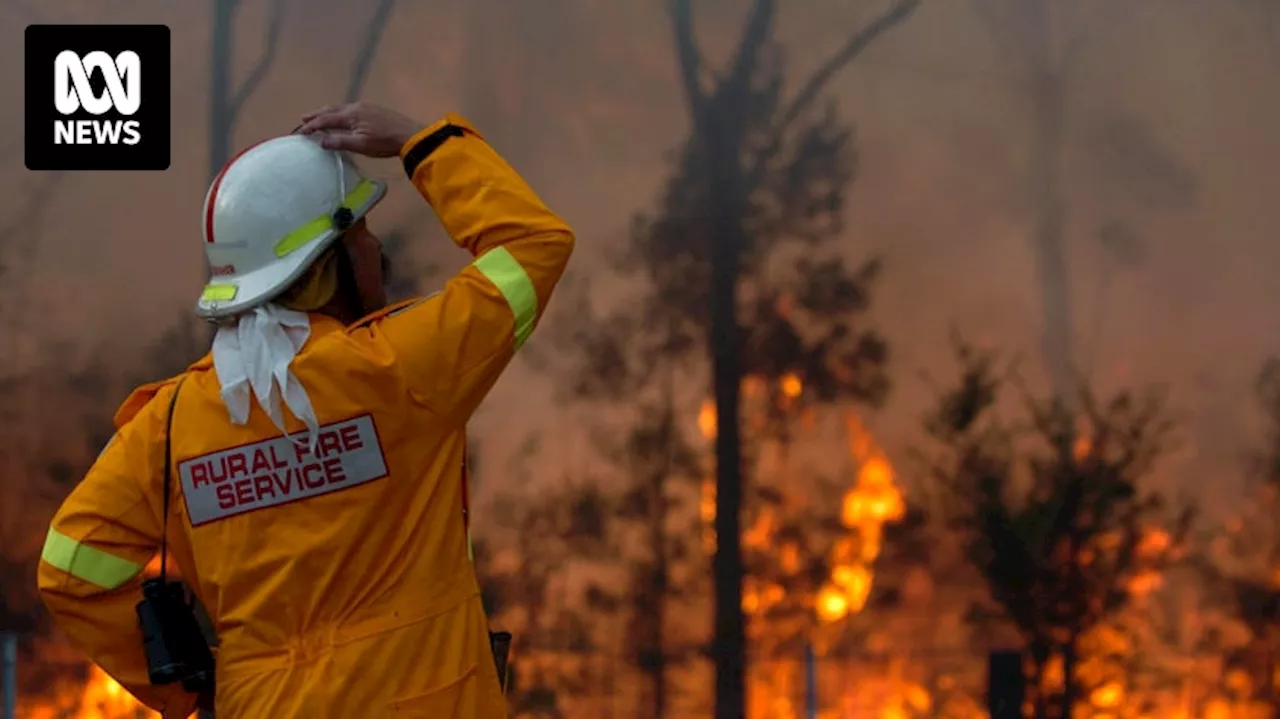 Bushfire closes Princes Highway north of Wollongong