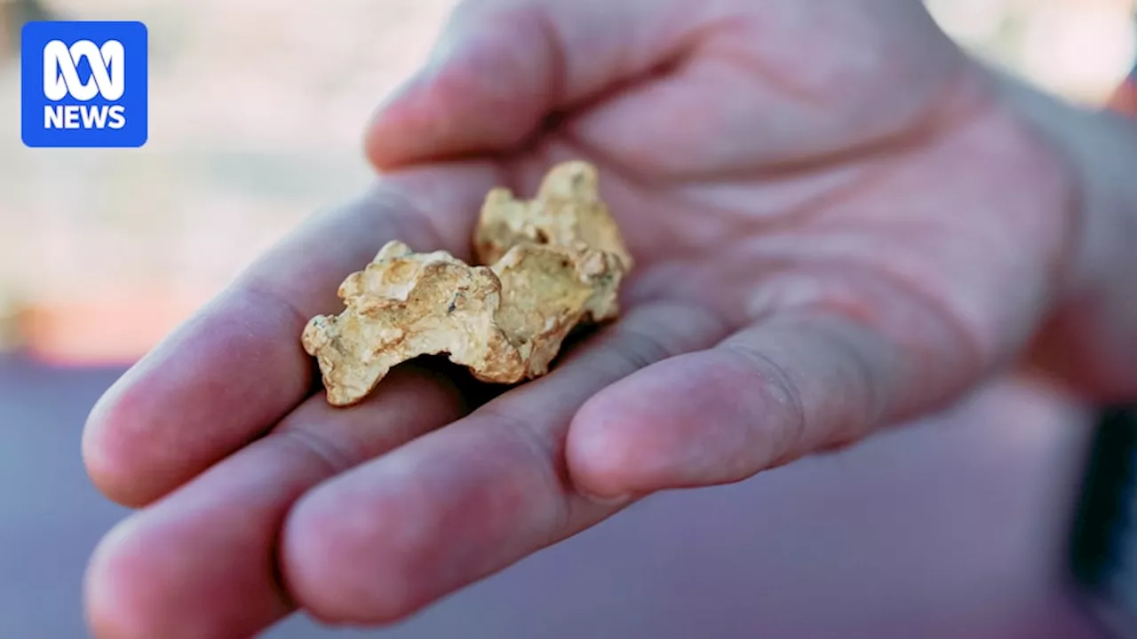 How gold nuggets form is a mystery. Could electricity from earthquakes hold the answer?