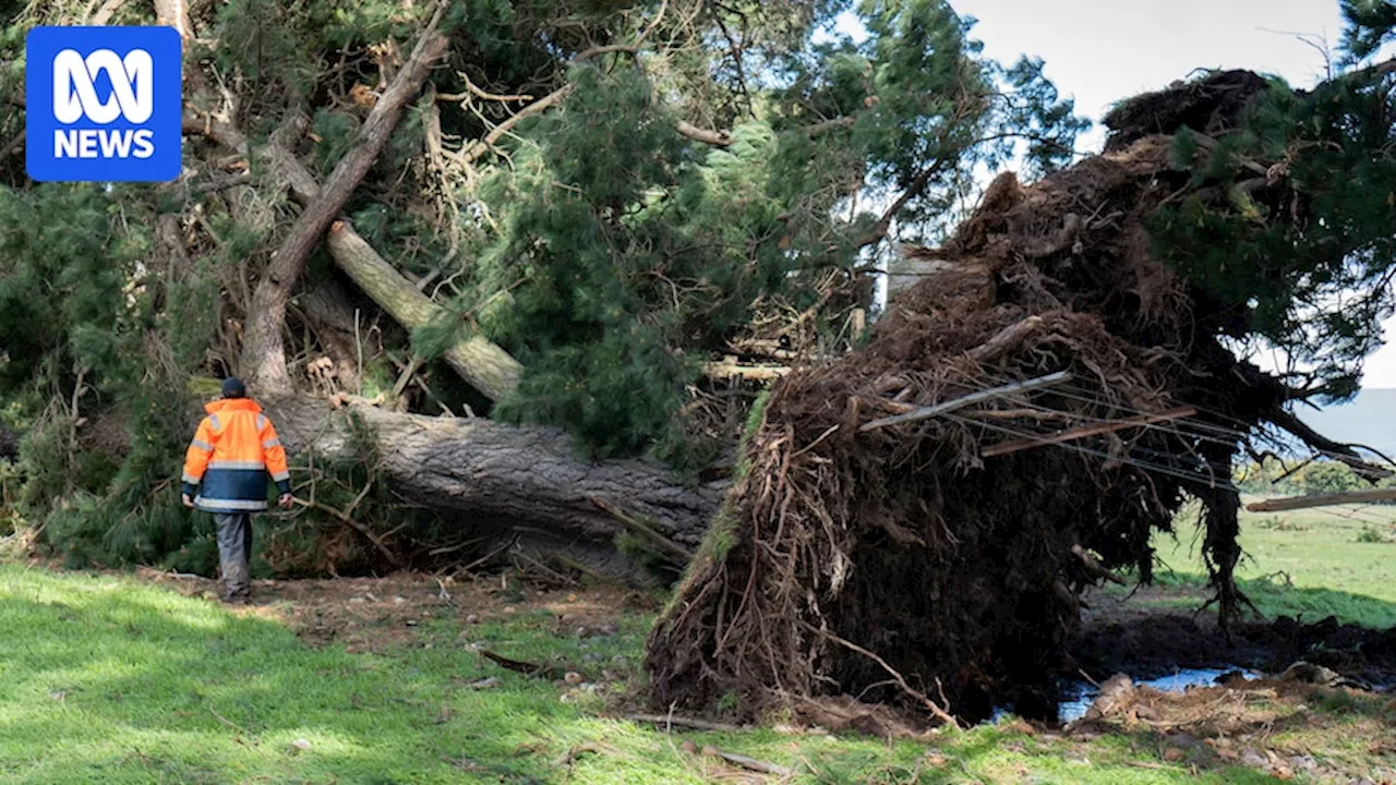 Tasmanian wild weather eases but thousands still without power and flooded rivers inundate properties