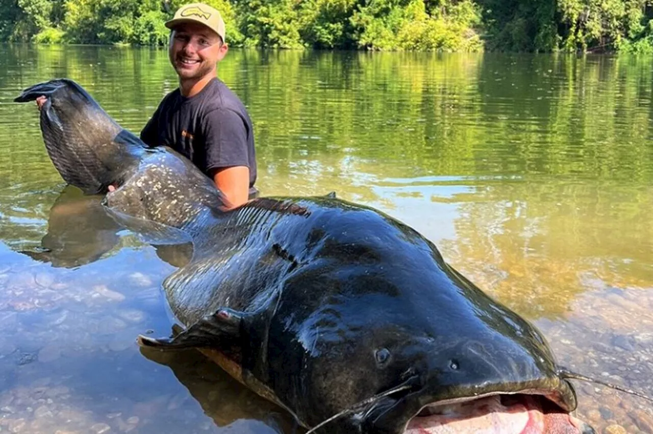 Pêche miraculeuse dans le Tarn : un « monstre » les propulse tout près du Top 20 mondial !