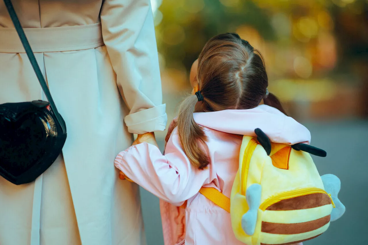 Rentrée scolaire dans la Manche : ce qui change en plusieurs chiffres