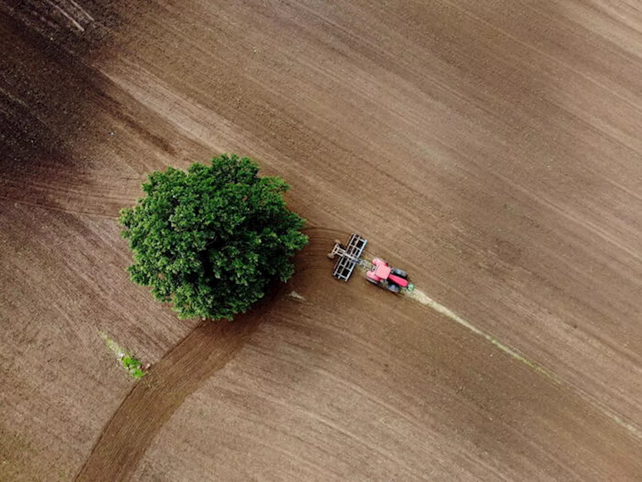 In arrivo le conclusioni Ue sul futuro dell'agricoltura