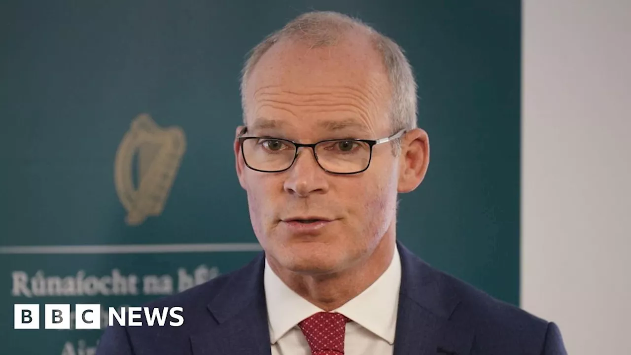 Fear of Sinn Féin president blamed for not expanding voting rights