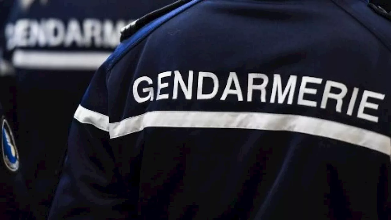 Alpes-de-Haute-Provence: disparue depuis dimanche, une septuagénaire retrouvée en vie par les gendarmes