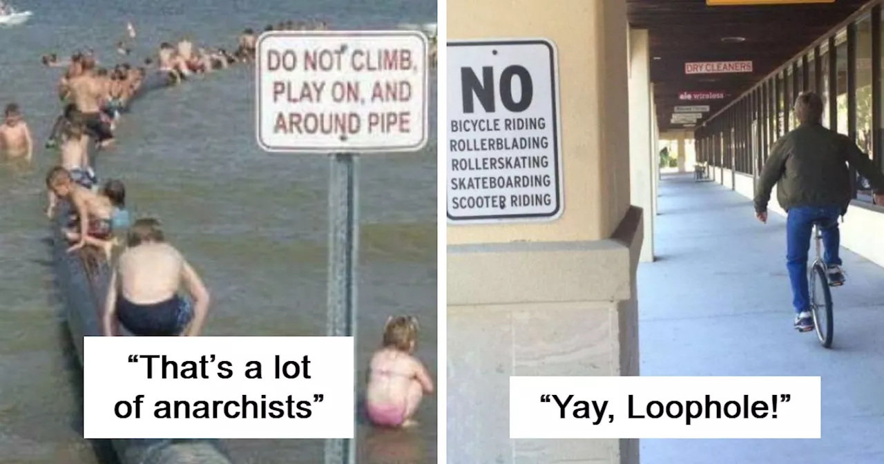 30 First-World Anarchists That Don’t Believe Rules Apply To Them (New Pics)