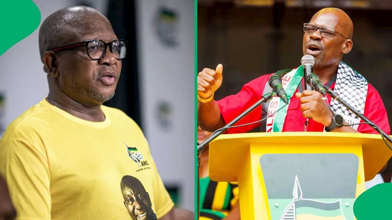 Fikile Mbalula Slams Solly Mapaila’s Statements Calling GNU a Sellout