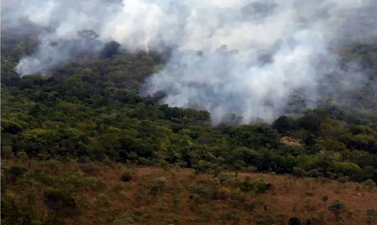 Brasil já registrou mais de 154 mil focos de calor este ano