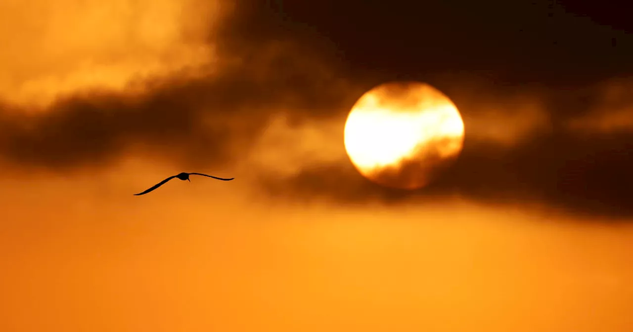 Sweltering heat wave will hit Southern California this week with highs reaching 113 degrees