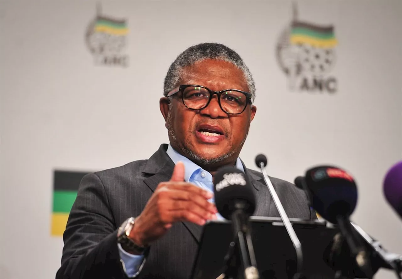 Mbalula declares ANC the only party free from 'cult' control