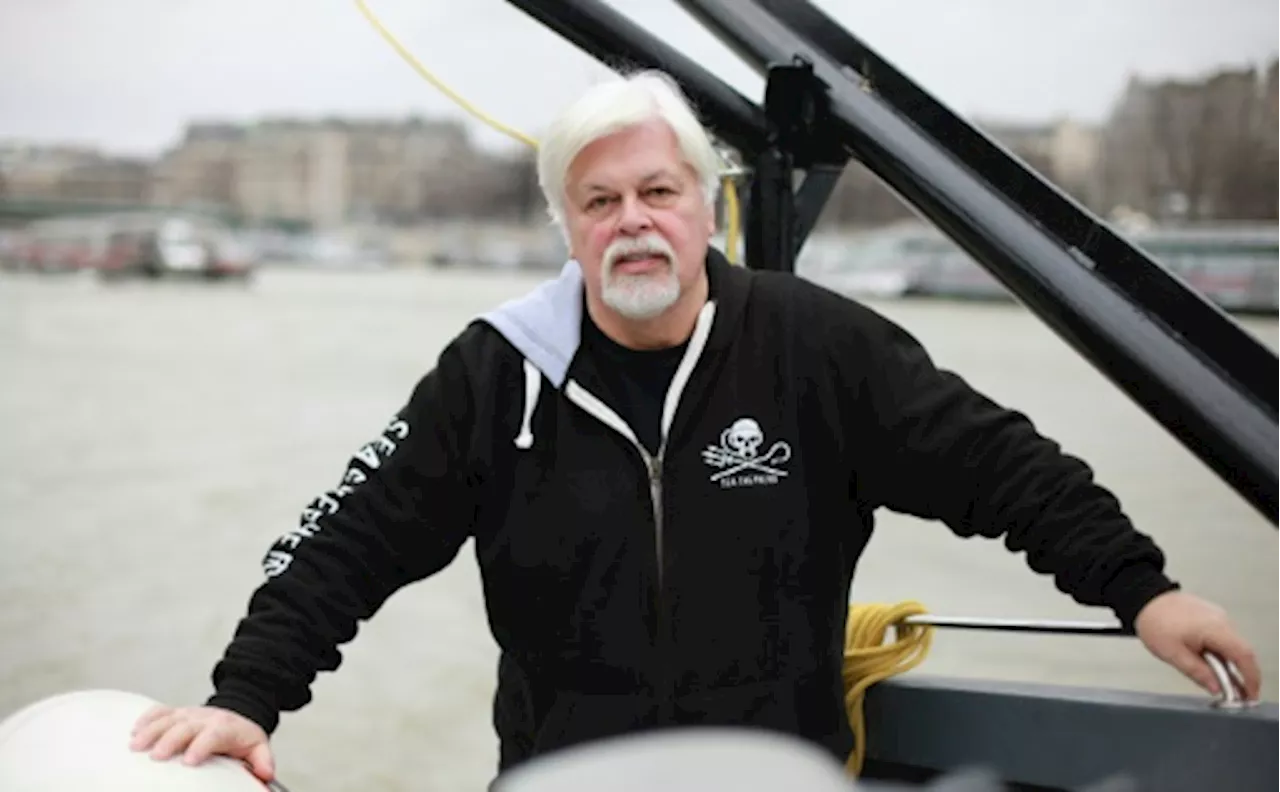 De sa prison au Groenland, le défenseur des baleines Paul Watson continue le combat