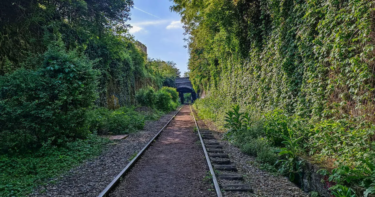 Et si Paris desserrait sa Petite Ceinture ?