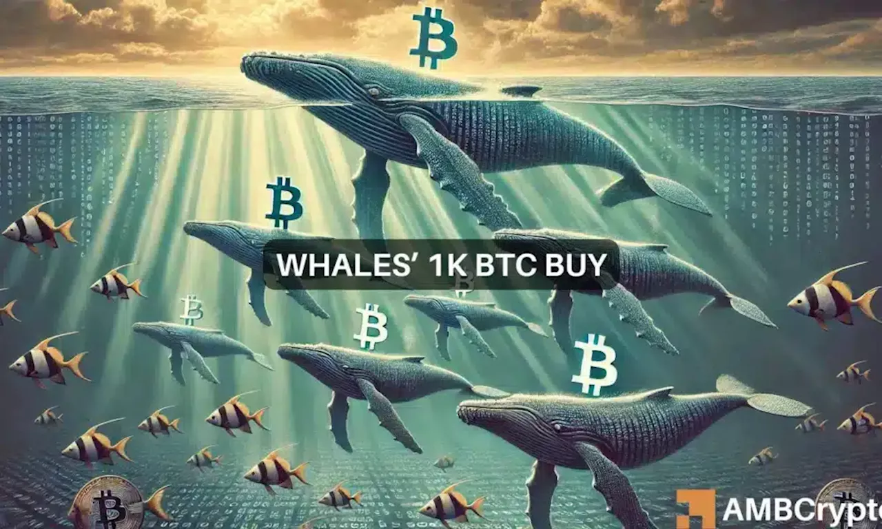 Bitcoin whales continue to impact BTC amidst 1K token move