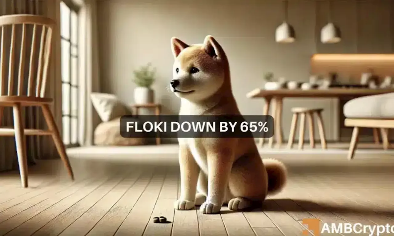 Can FLOKI turn things around after a 65% drop from its ATH?