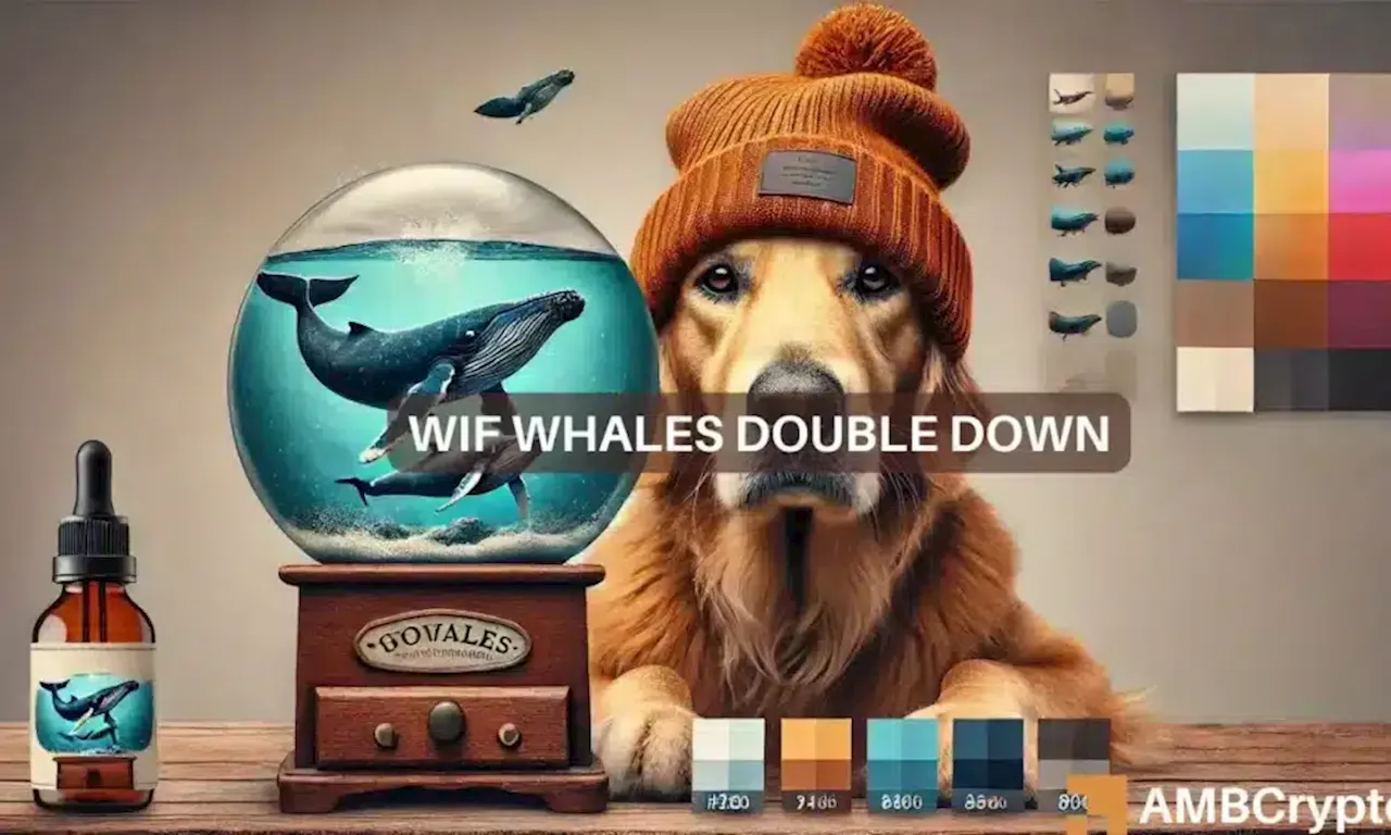 dogwifhat whale accumulates $13 mln tokens – What’s behind this move?