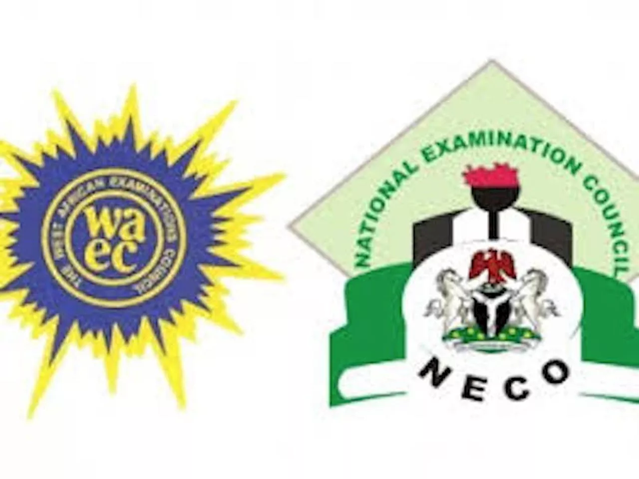 Banning under-18 from WAEC, NECO will limit potential of Nigerian children