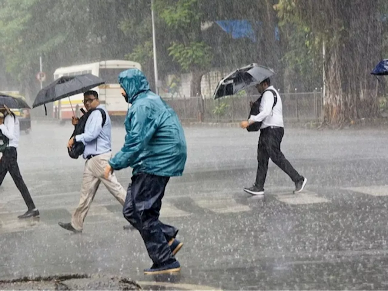 छिंदवाड़ा में हुई औसत से ज्यादा बारिश: छिंदवाड़ा में हुई औसत से ज्यादा बारिशपूरे जिले में अब तक हुई 1073 मि...