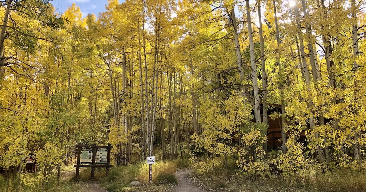 Where to strike gold: Best hikes, road trips, train rides to see Colorado's changing fall foliage