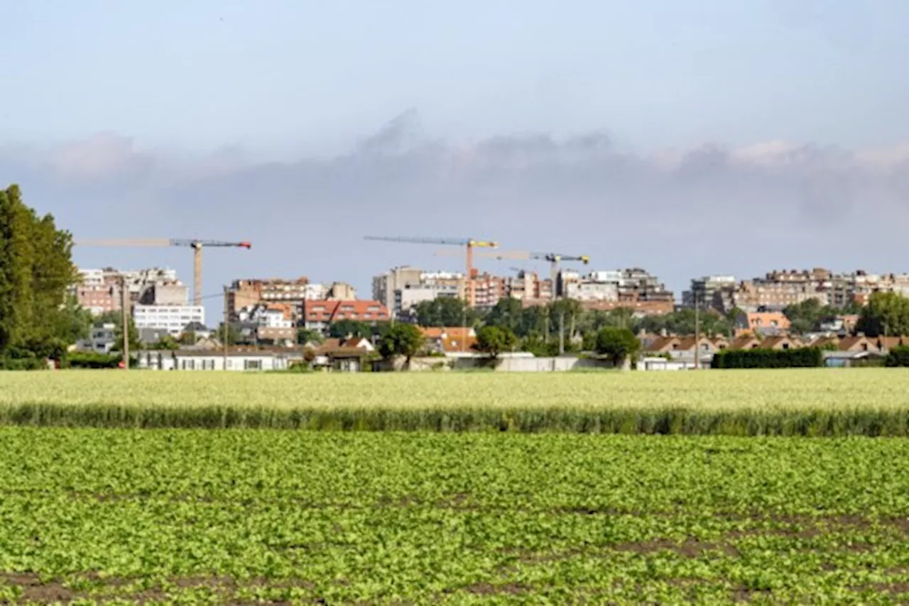 De Standaard lanceert De GemeenteStemtest, uw gids bij de lokale kiesstrijd van 13 oktober