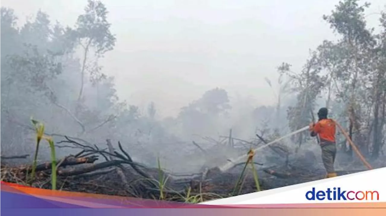 Karhutla di Muara Enim Sudah Lima Hari, Luas Terbakar 25 Hektare