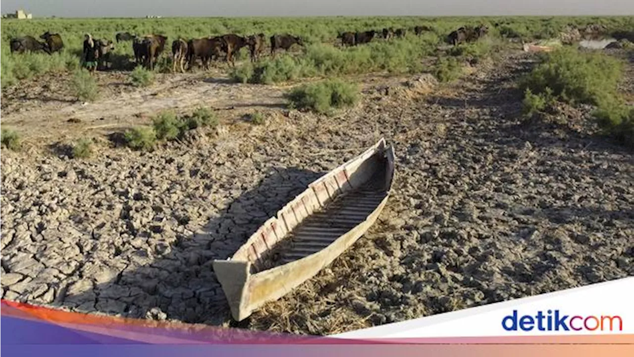 Ini Biang Kerok yang Bikin Warga Jonggol Kesulitan Air Bersih