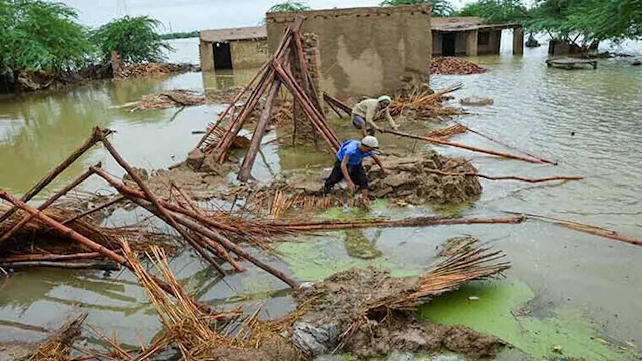 PDMA issues flood alert for upper parts of Punjab