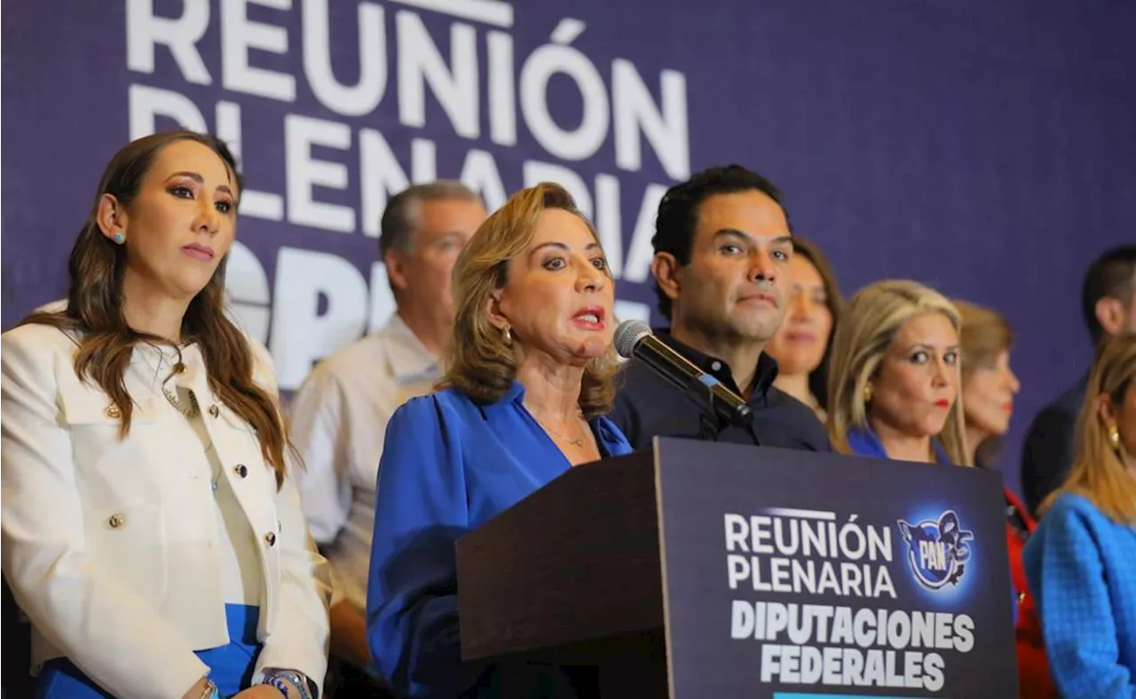 PAN llama a oposición en el Senado a rechazar reforma judicial para 'evitar la muerte de la democracia'