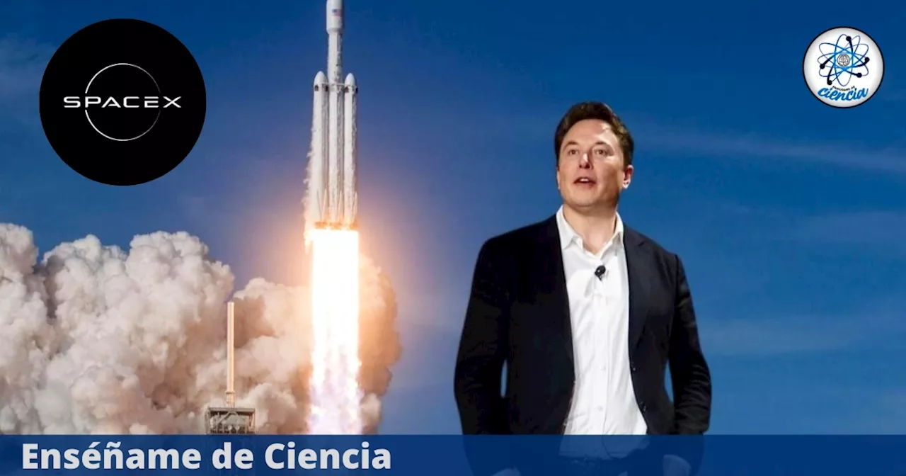 ¡Turistas al espacio! Elon Musk hace posible estos viajes espaciales con Polaris Dawn