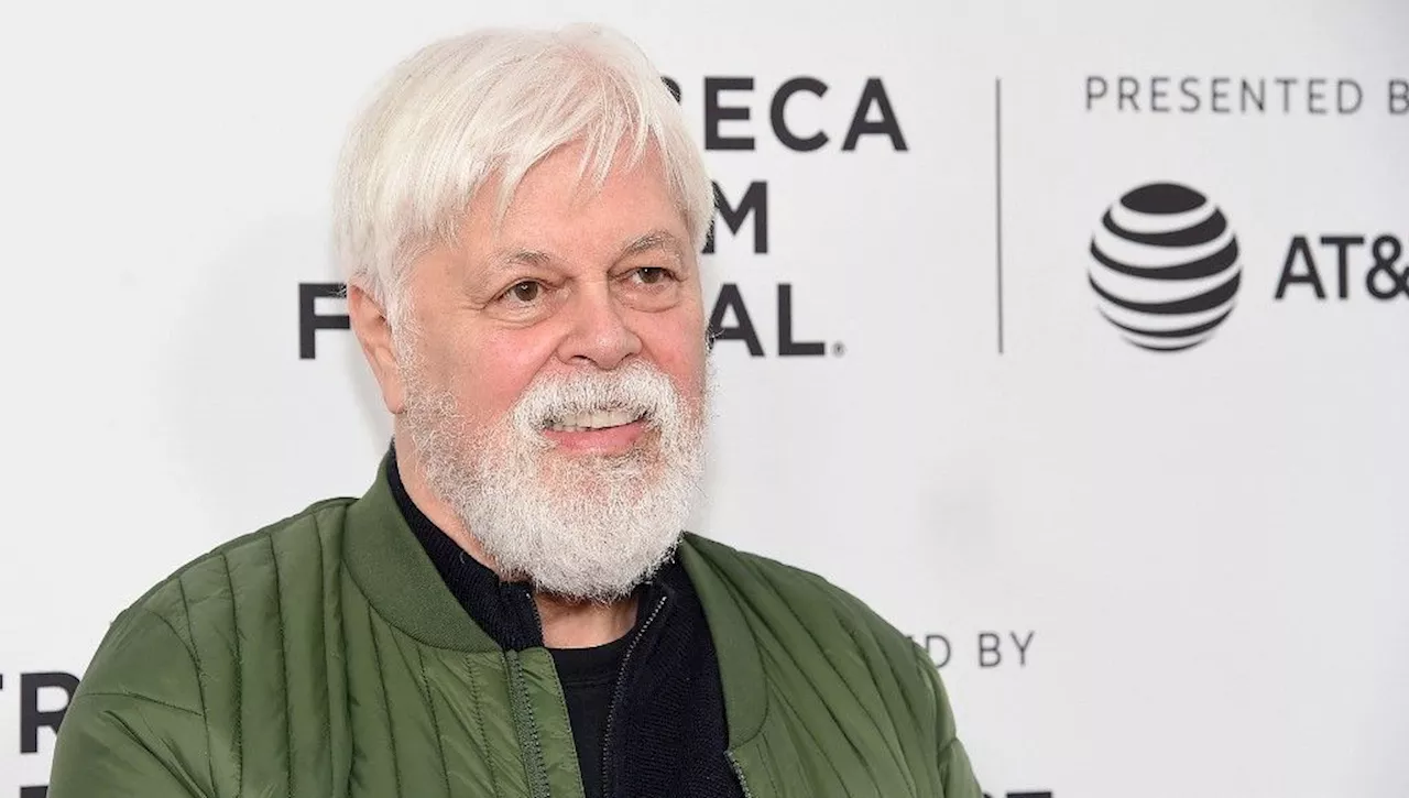 Paul Watson, détenu au Groenland : 'Tous les lanceurs d'alerte doivent être protégés'