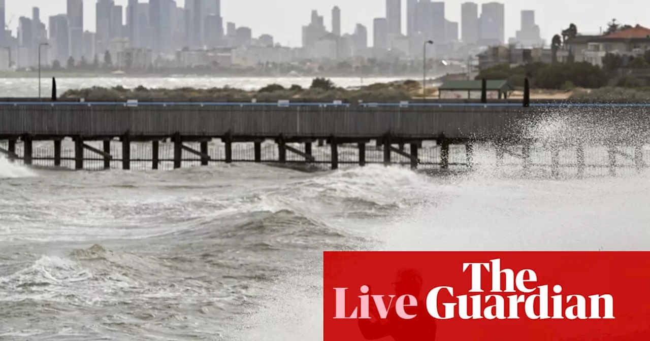 Australia news live: cleanup begins after wild weather; Liverpool council faces suspension threat