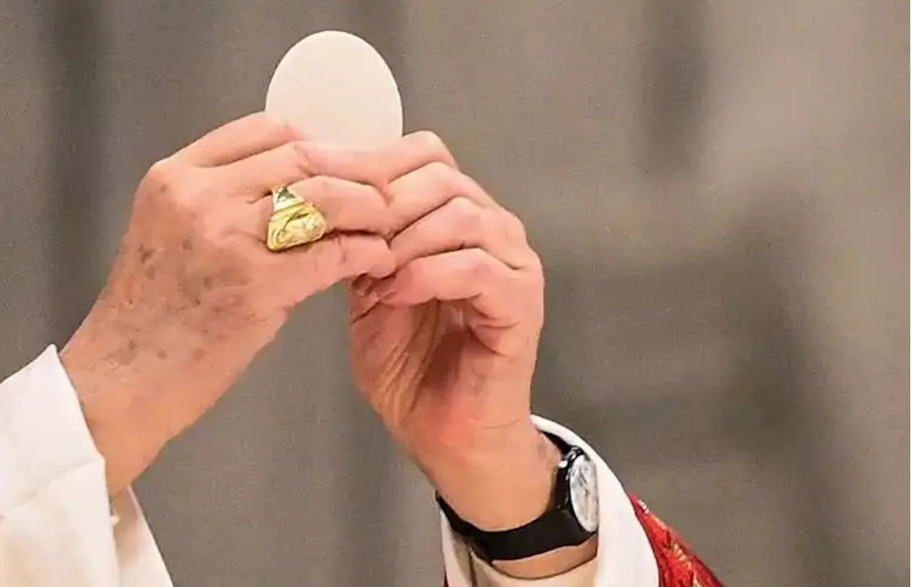 The Eucharist can recommit the faithful to care of creation: bishops