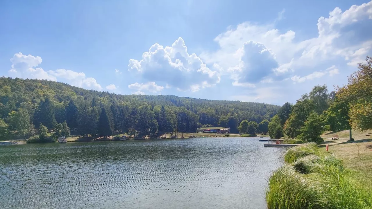 Zerkarien-Alarm nun auch am Stausee Forchtenstein