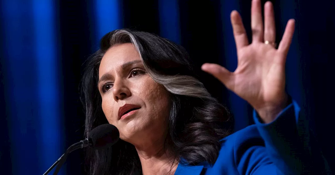 Tulsi Gabbard Warns Trump Against Underestimating Kamala Harris' Debate Skills