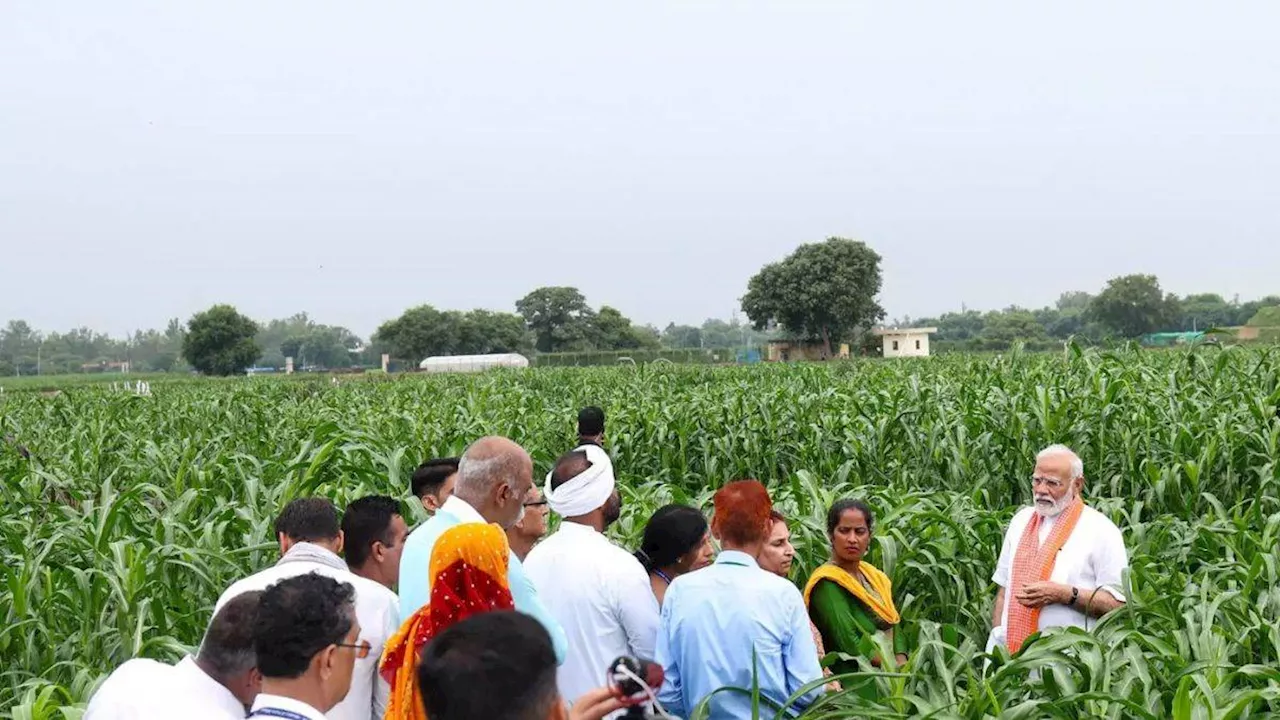 किसानों के लिए खुशखबरी: आय में होगी बढ़ोतरी, लोन लेना भी हुआ आसान; सरकार ने 7 परियोजनाओं को दी मंजूरी