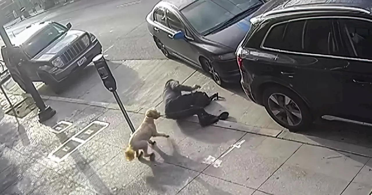 Man arrested in San Francisco following bizarre, rolling crime spree across city