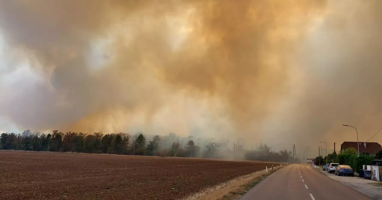 34 Feuerwehren bekämpften Waldbrand im Weinviertel