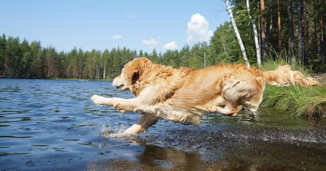 Wetter diese Woche: Sommer bleibt uns noch erhalten