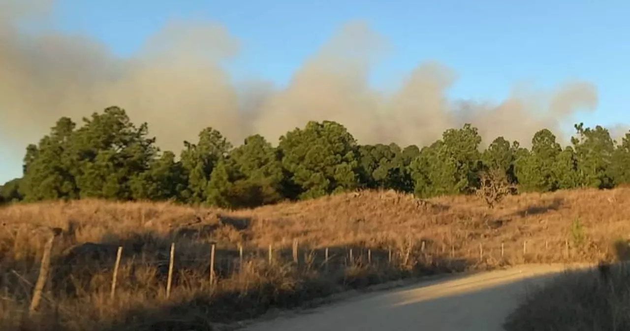 Riesgo extremo: Bomberos combate un incendio en Calamuchita