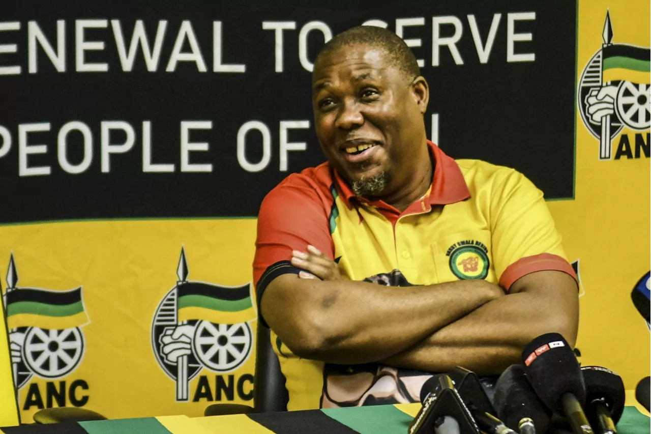 ANC’s Bheki Mtolo apologises about Nehawu slur, alliance partners paper over GNU cracks